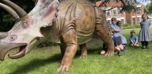 Town Close Dinosaur Woodland Trail Town Close Dinosaur Woodland Trail